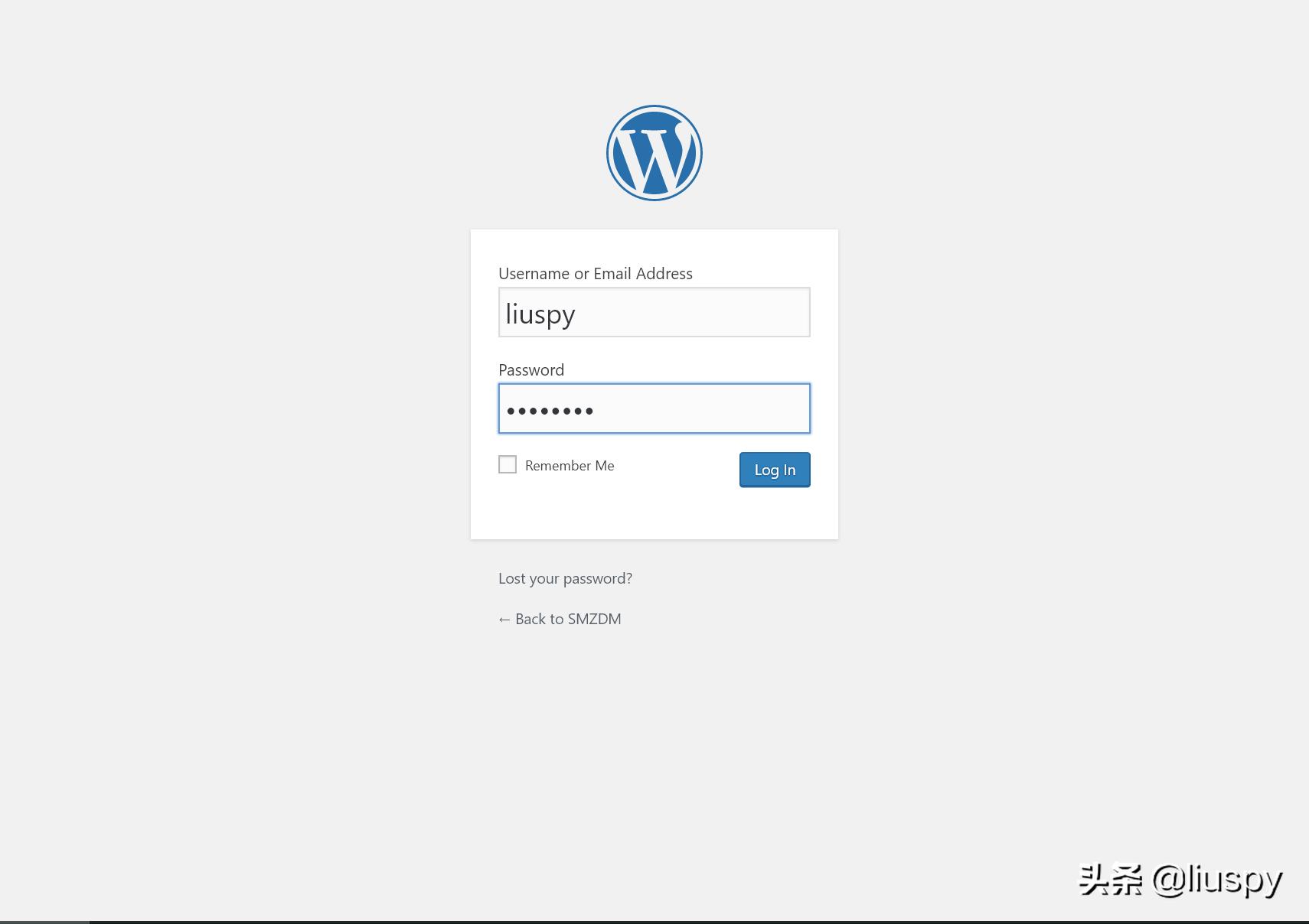 抛砖引玉自投罗网,小白如何搭建网站教程视频