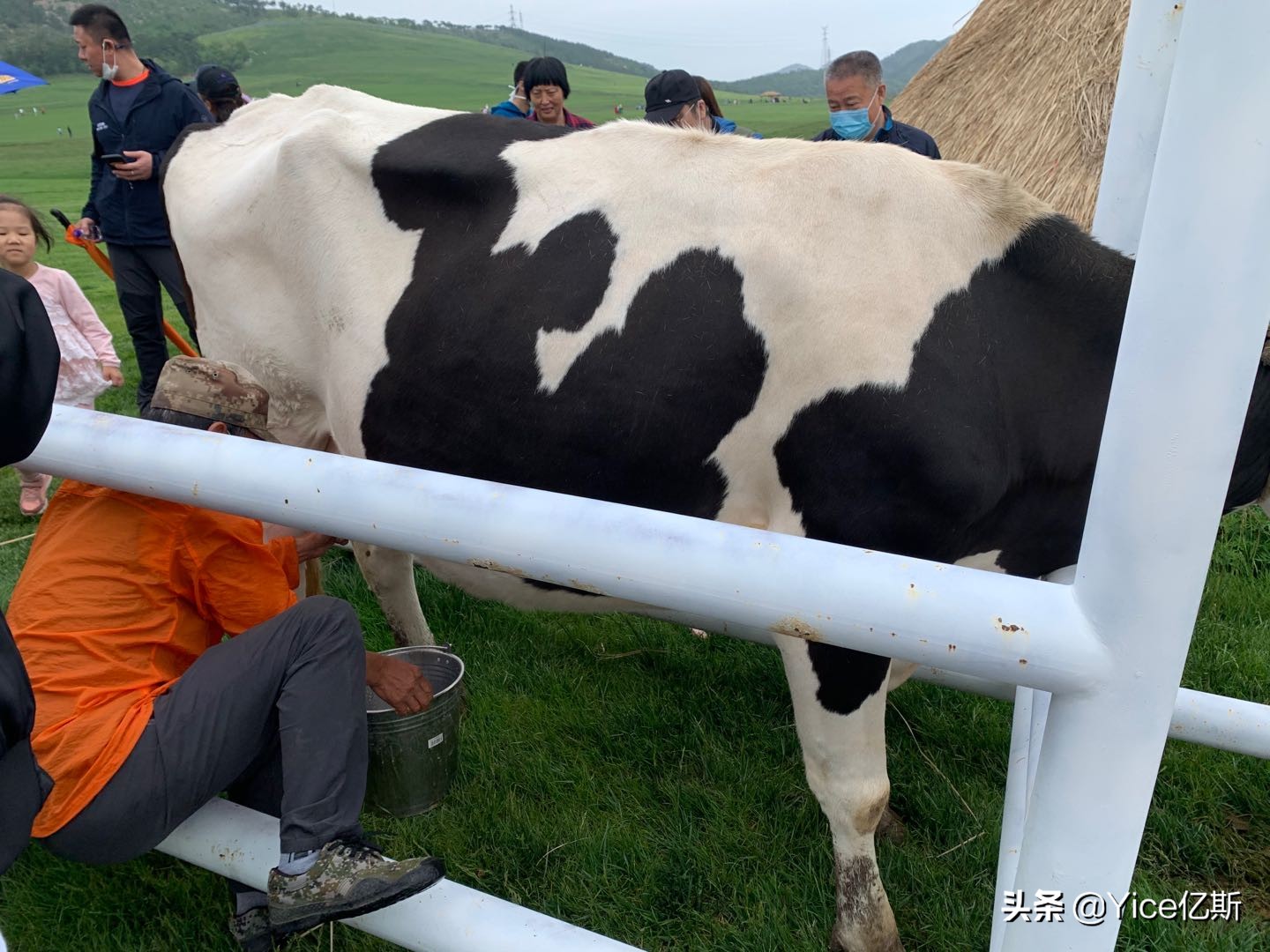 亿斯助力三寰牧场亲子活动,培养儿童饮水知识