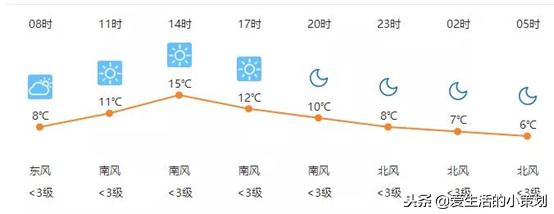 阳光体育节的超燃瞬间,阳光文化节方案