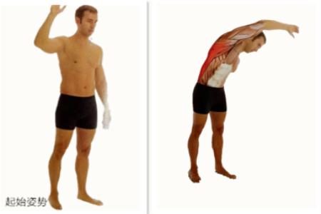 经常玩电脑腰酸背痛？大神教你6个独家拉伸技巧，背部轻松365天