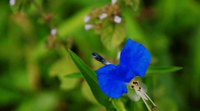 浙江有哪些有瀑布的旅游景点,浙江旅游景点推荐瀑布