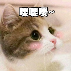 cad图纸如何批量转换成pdf格式,cad一套图纸怎么转换成一张pdf