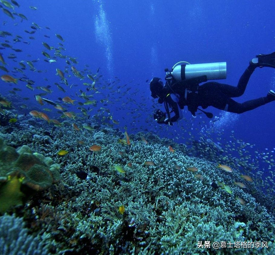 世界十大最适合旅游的国家,世界十大最佳旅行地区