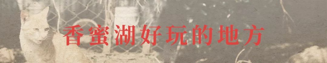 附近香蜜湖,香蜜湖入口