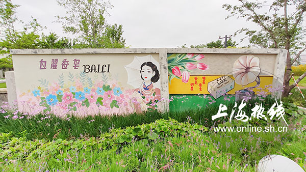 杨浦最新网红打卡,上海杨浦区网红打卡