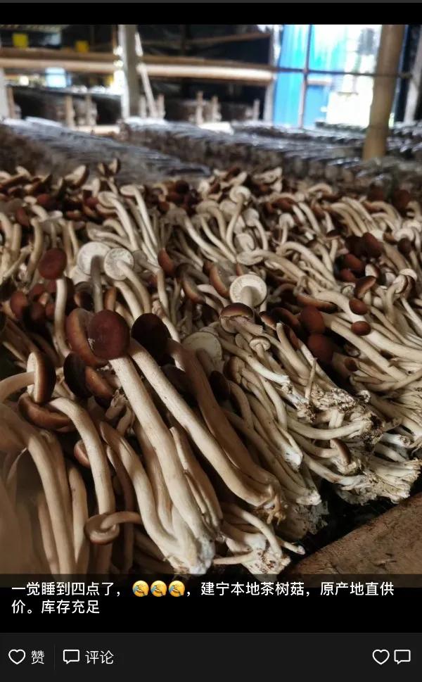 艾美龄：让农户搭乘互联网快车