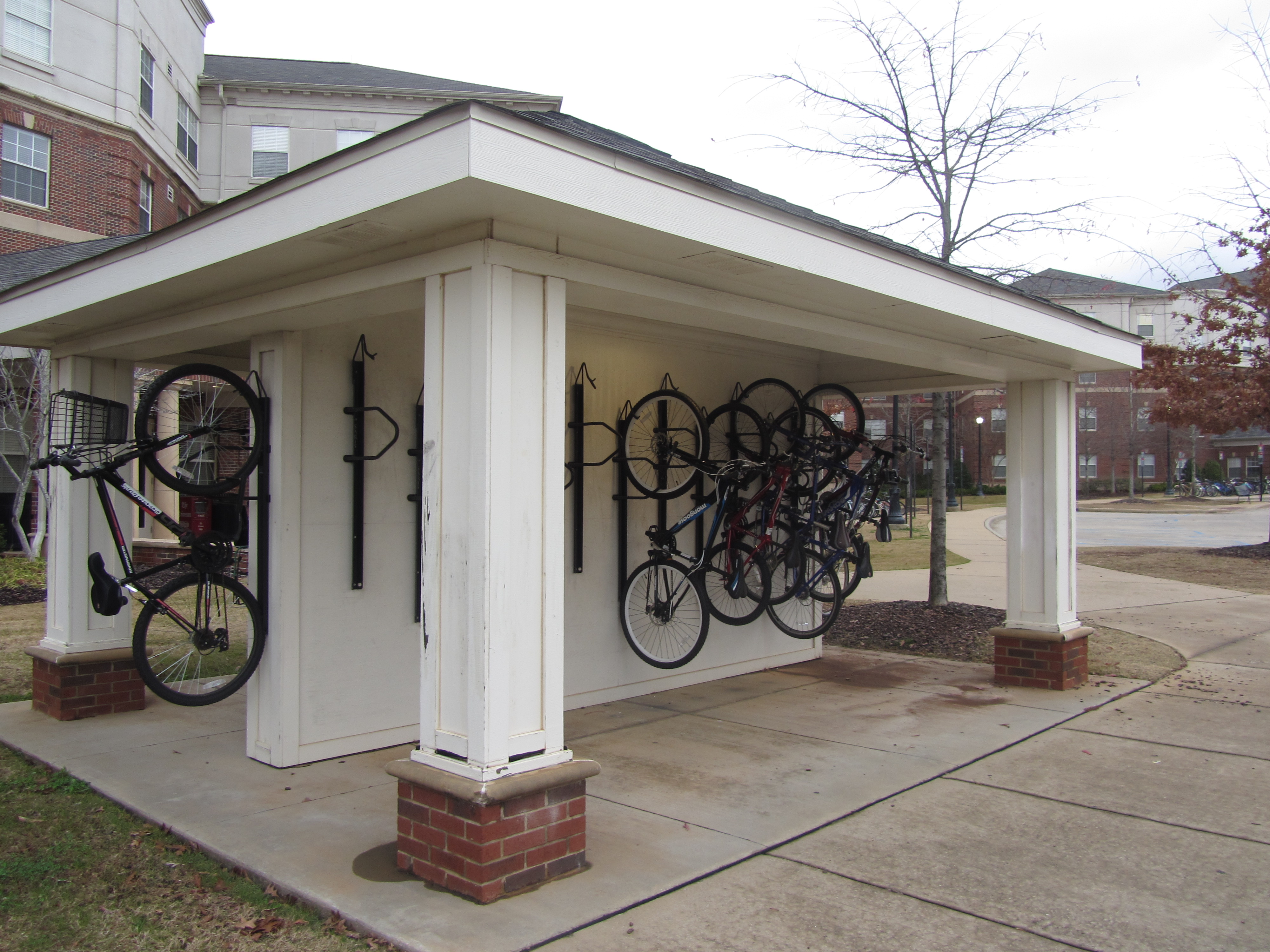 美国人找我要烟抽：美国印象