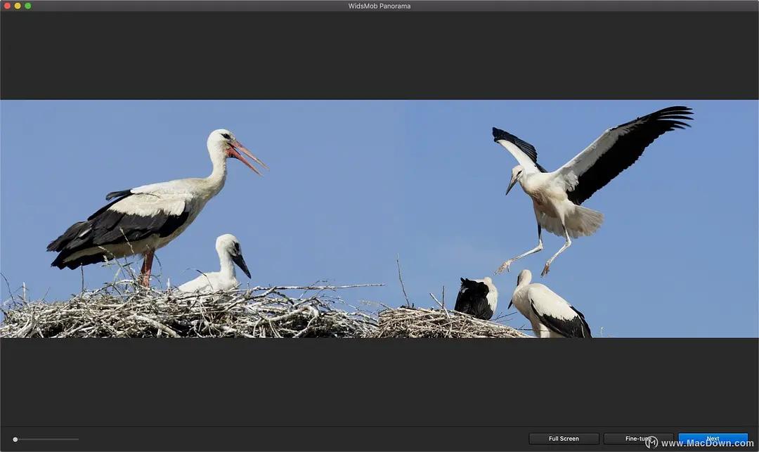 WidsMobPanoramaMac,全景拼接工具