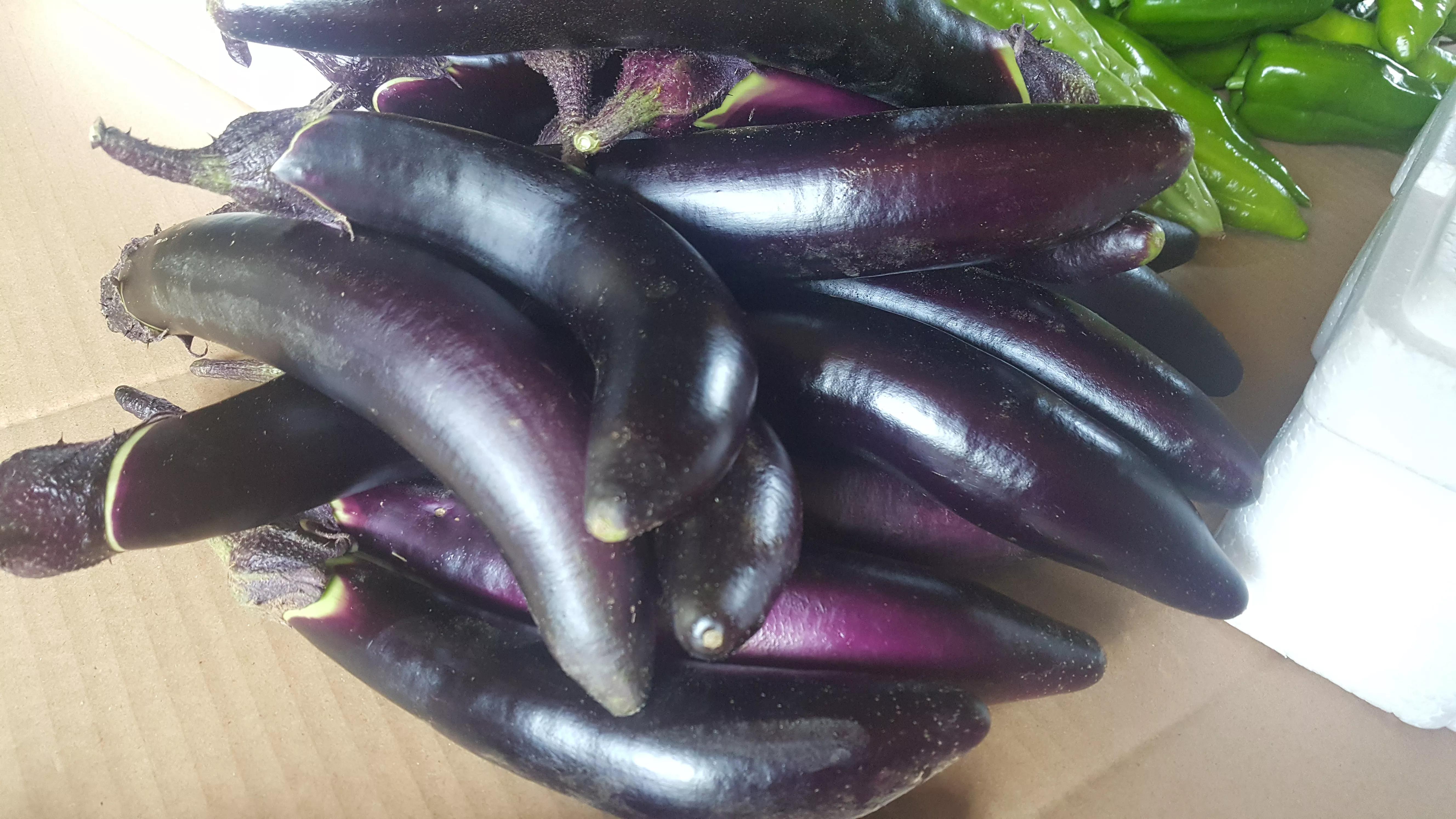 我的种植初体验,有机农业增产