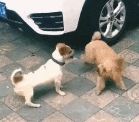 孩子不说学校的事是怎么回事,孩子不说学校的事情怎么沟通管理