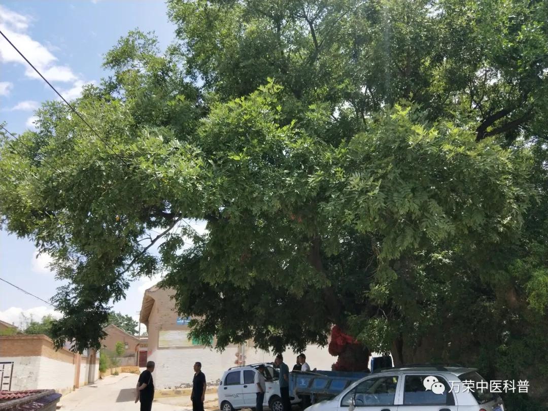 跟我回家在线免费看,跟我回家免费看