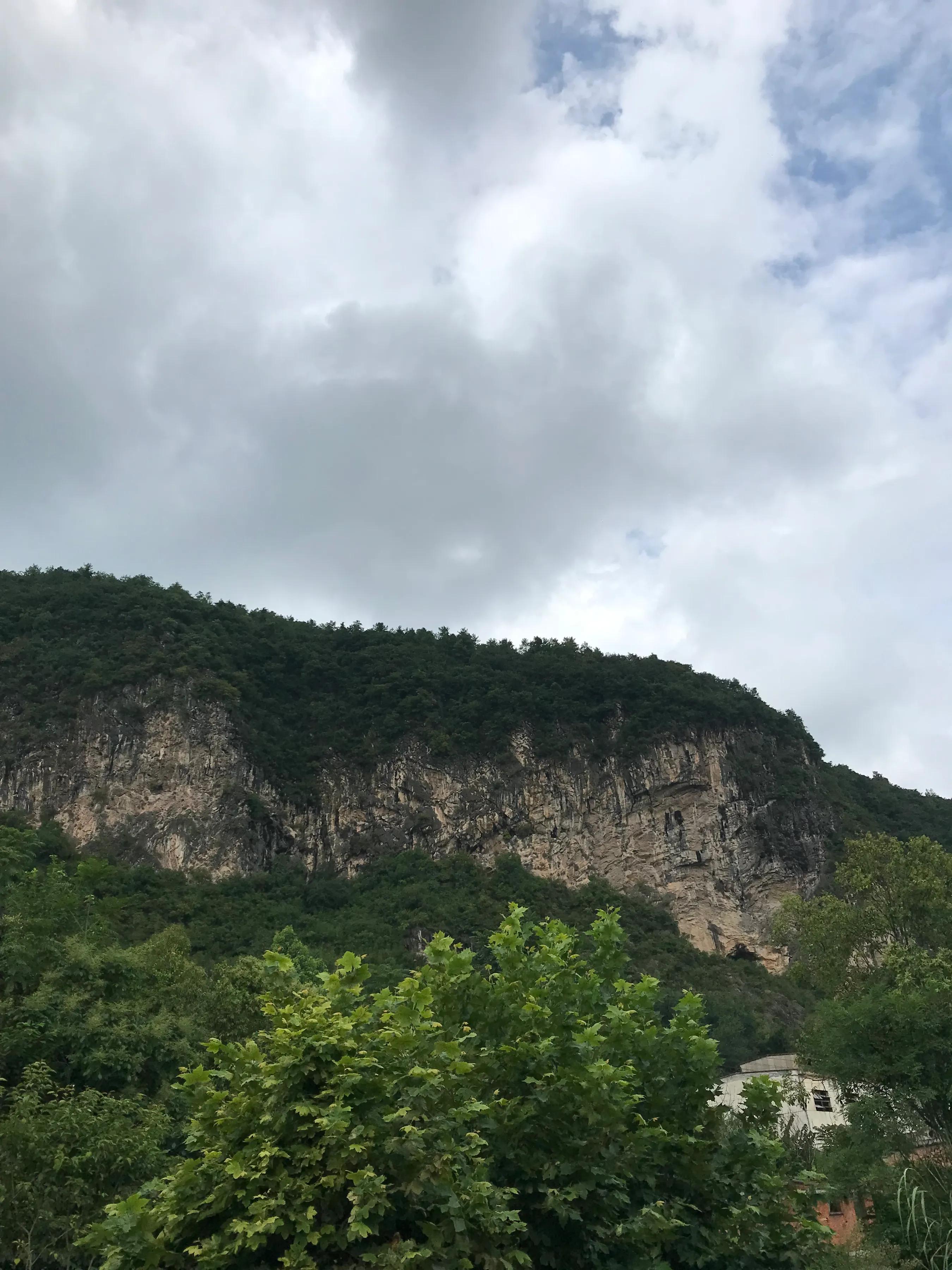 山远近路横斜读音,山远近路横斜青旗沽酒有人家意思