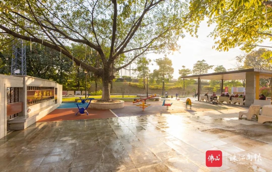 乐从沙边村改造,村改社区转型发展