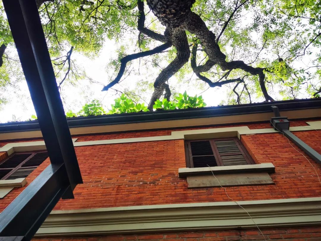 隐藏杭州红会医院内的红砖洋房，八十年前曾是贫苦百姓心中的圣地