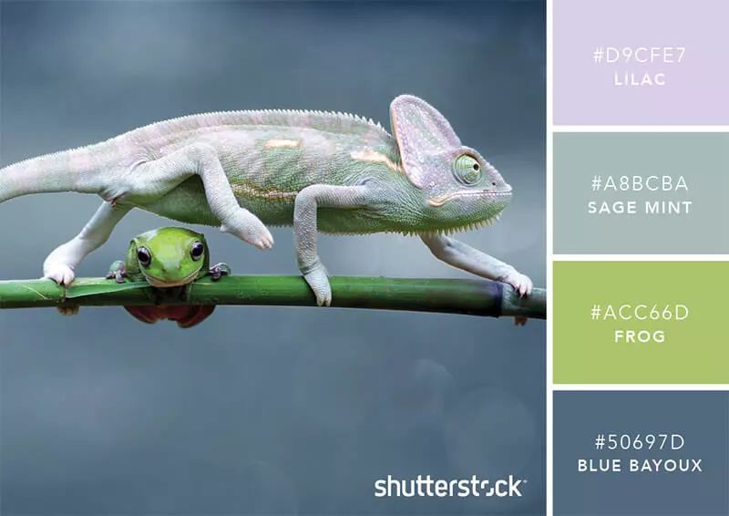 色彩搭配个人形象设计,色彩搭配都是业主亲自选择