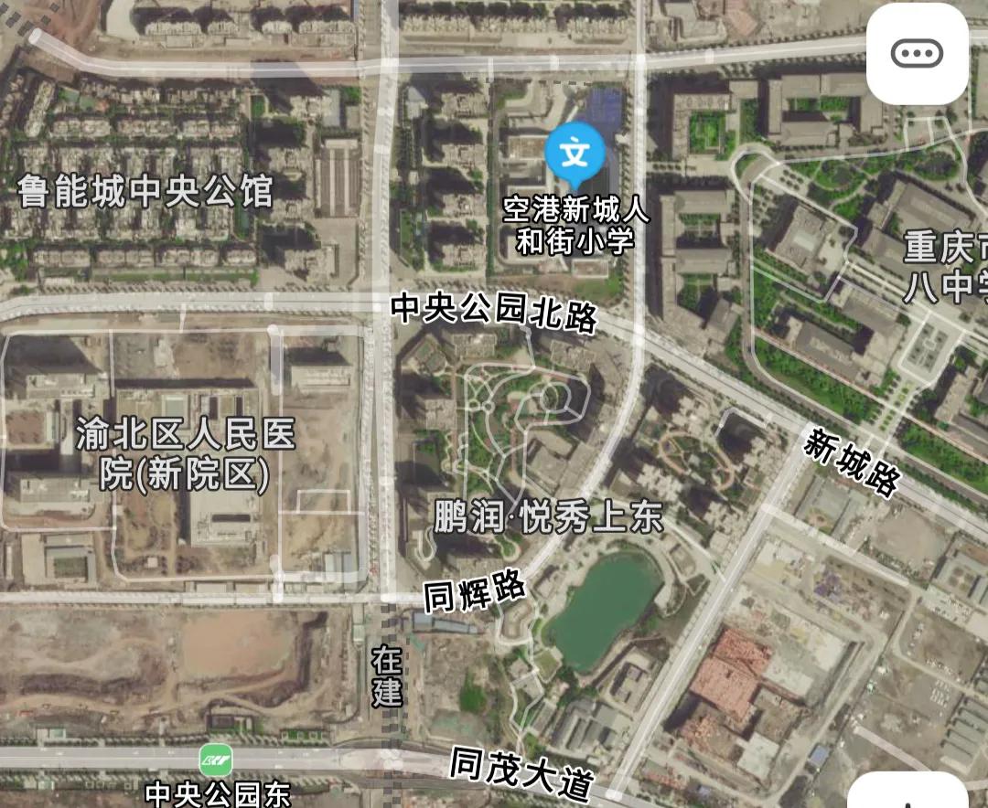 重庆中央公园配套学校,重庆中央公园南的学校