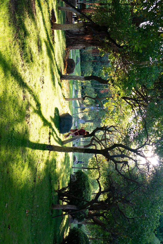 日本相机黑历史,日本相机年代感