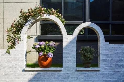 天府新区华阳小学：校园那么美，萌娃来打卡