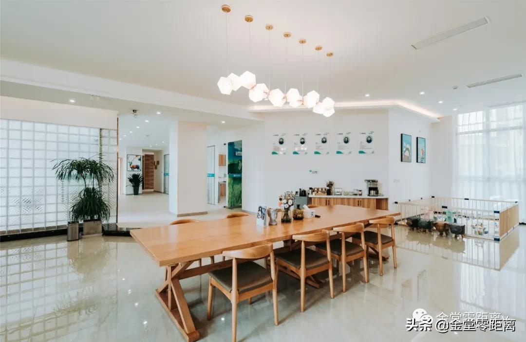 金堂轻奢高级装修,金堂轻奢装修