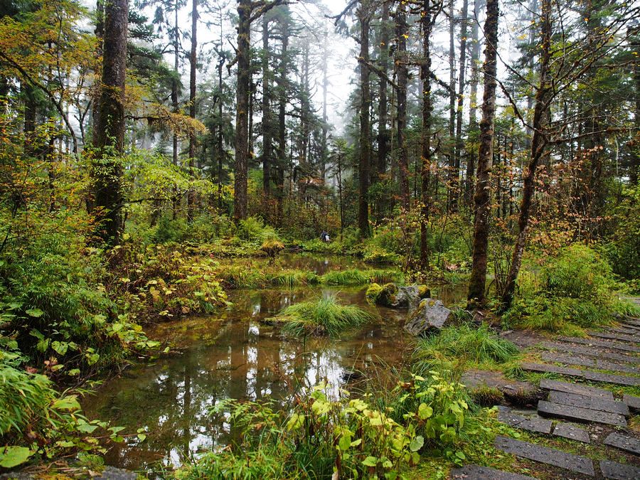 又美又神秘的风景,海螺沟的景色太美啦