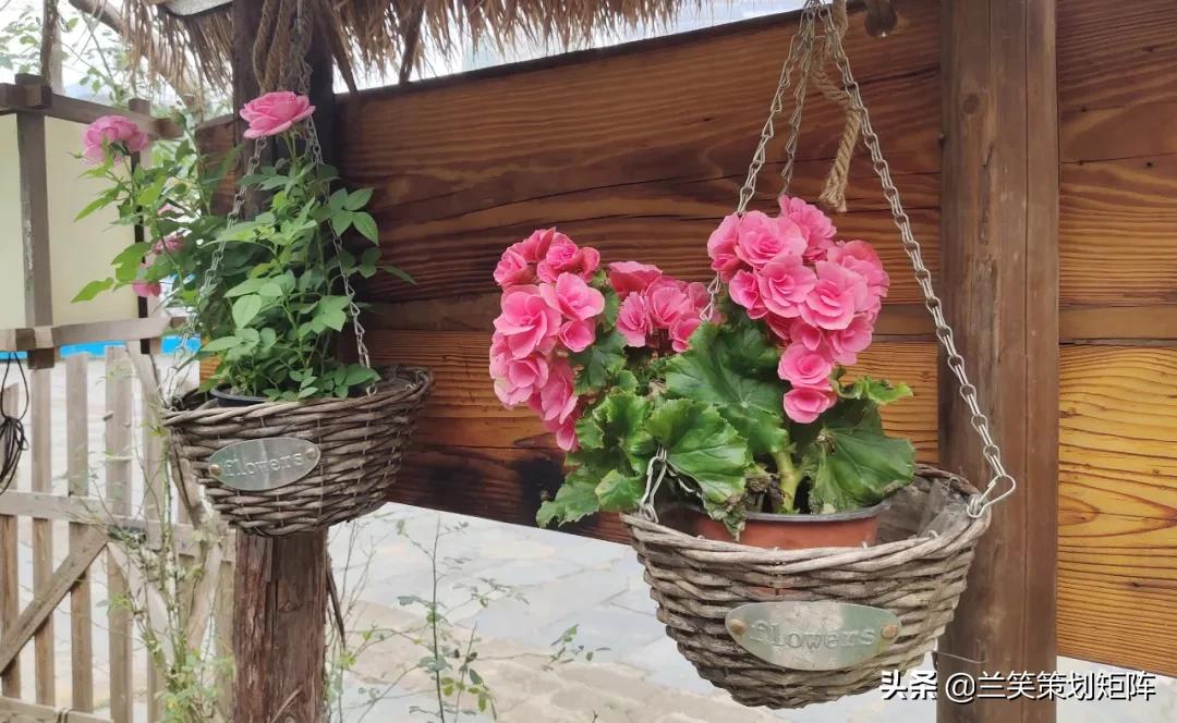 汉寿马涧村，此岸闻歌声，甜如糖橙的诗意栖居地