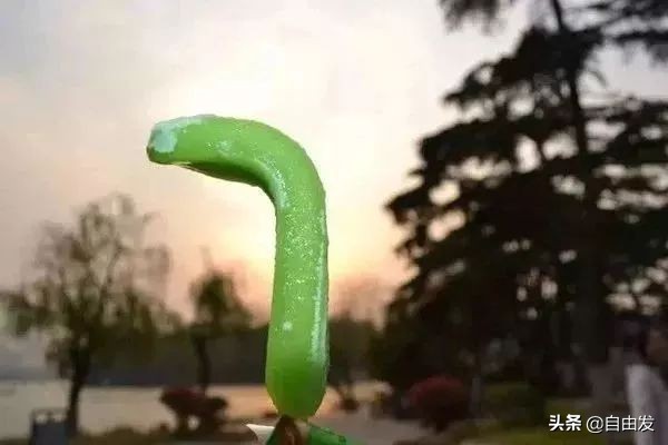 回忆儿时包头,70后的包头城市童年回忆