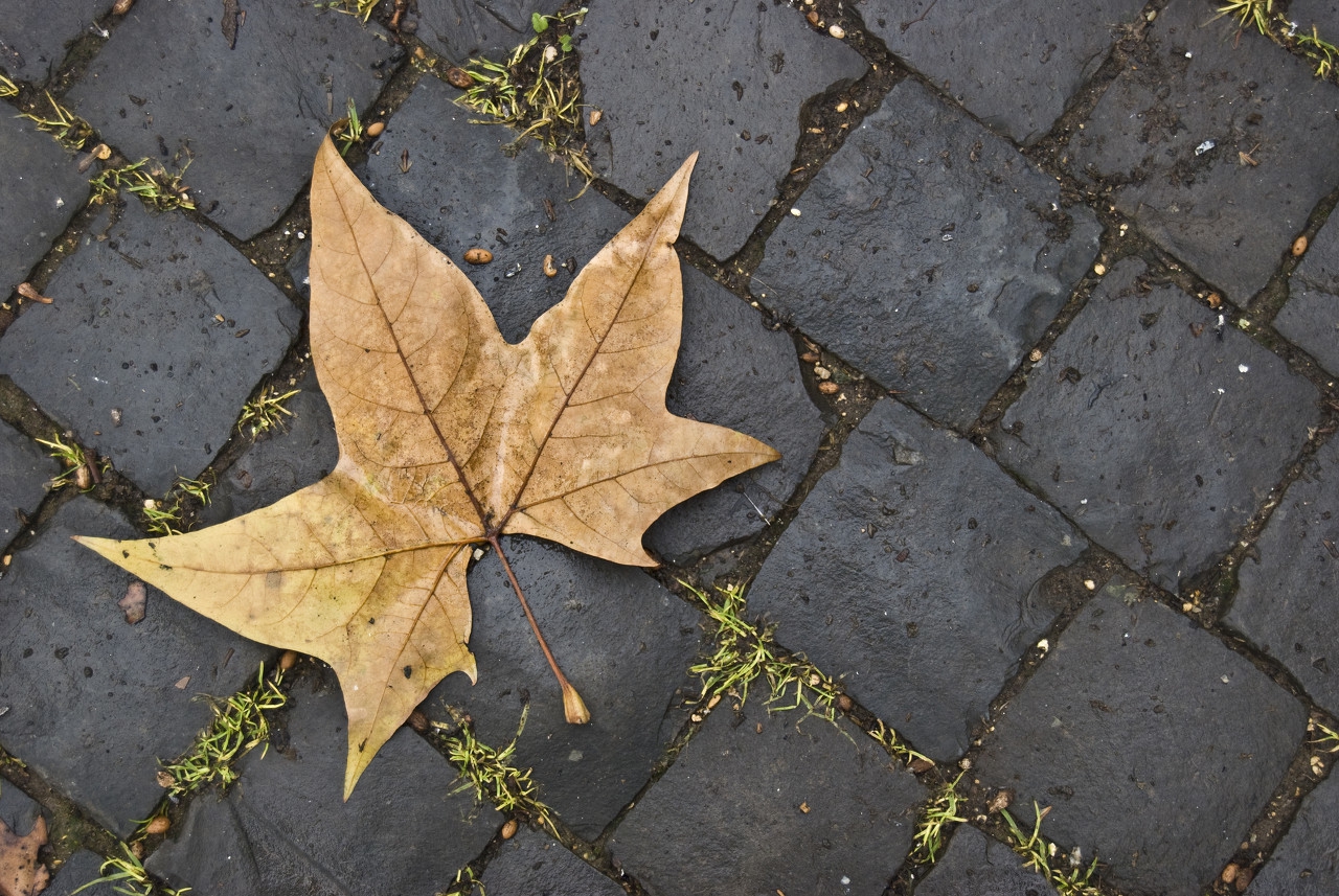 不断犯错误不可原谅,不断犯错不断改错