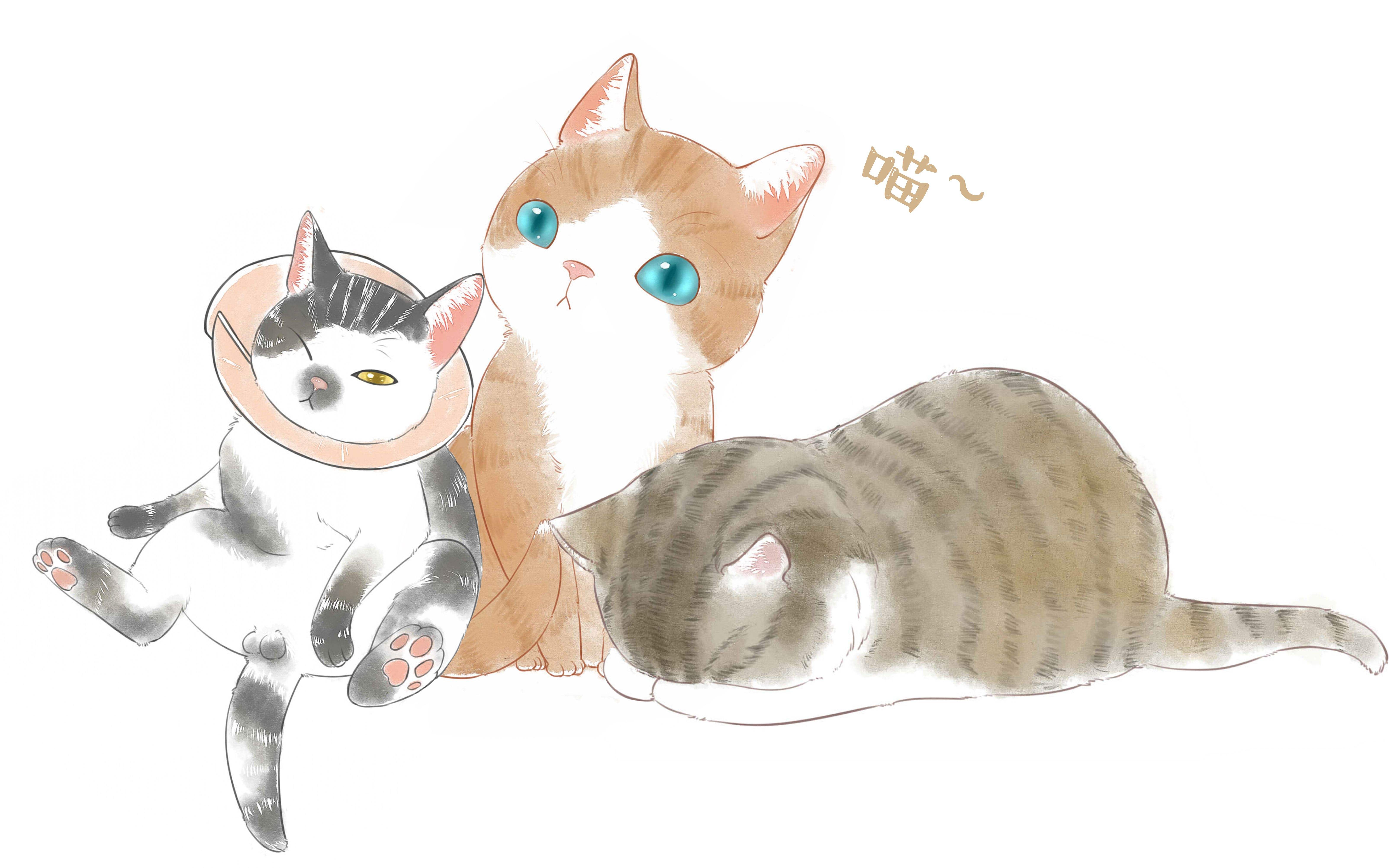 猫咪洗澡推荐沐浴露,猫咪洗澡神器哪个好