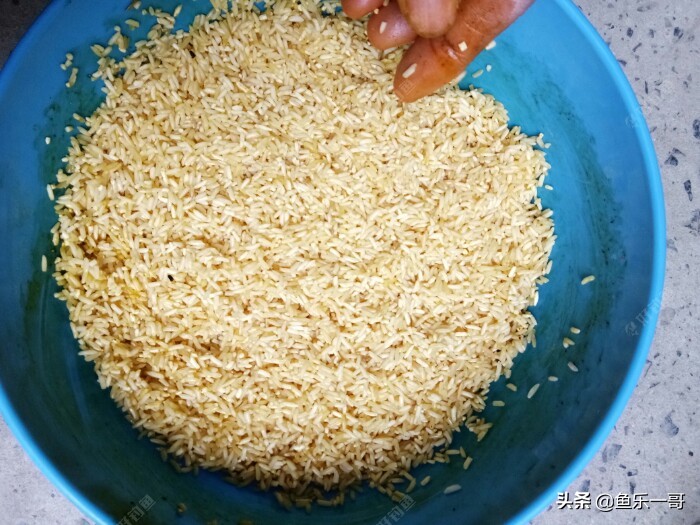 冬季黑米窝料野钓专用,钓鱼黑米打窝