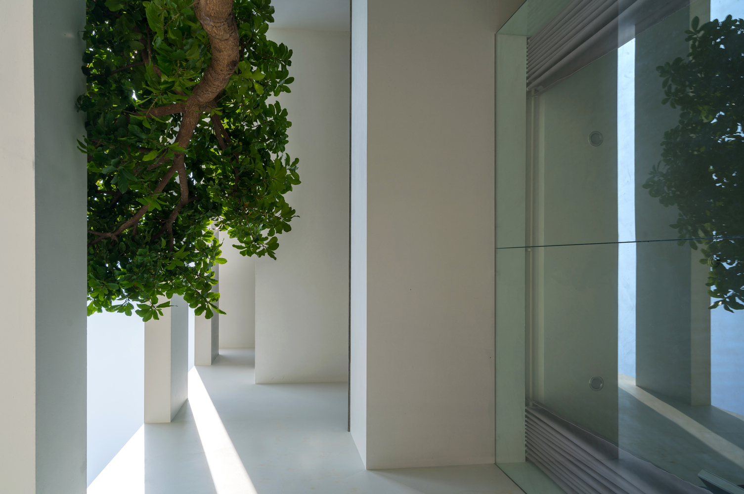 占地75亩的私家宅院,占地75平的自建房