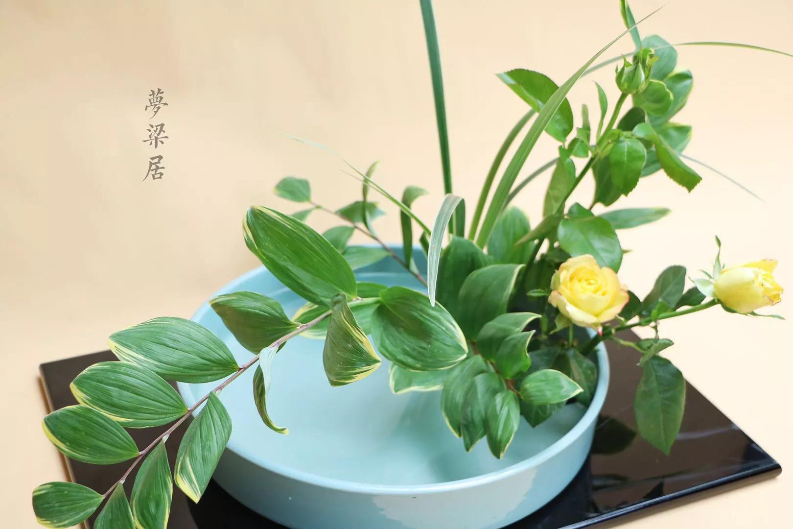 周末去哪儿小说,周末去哪儿玩免费景点