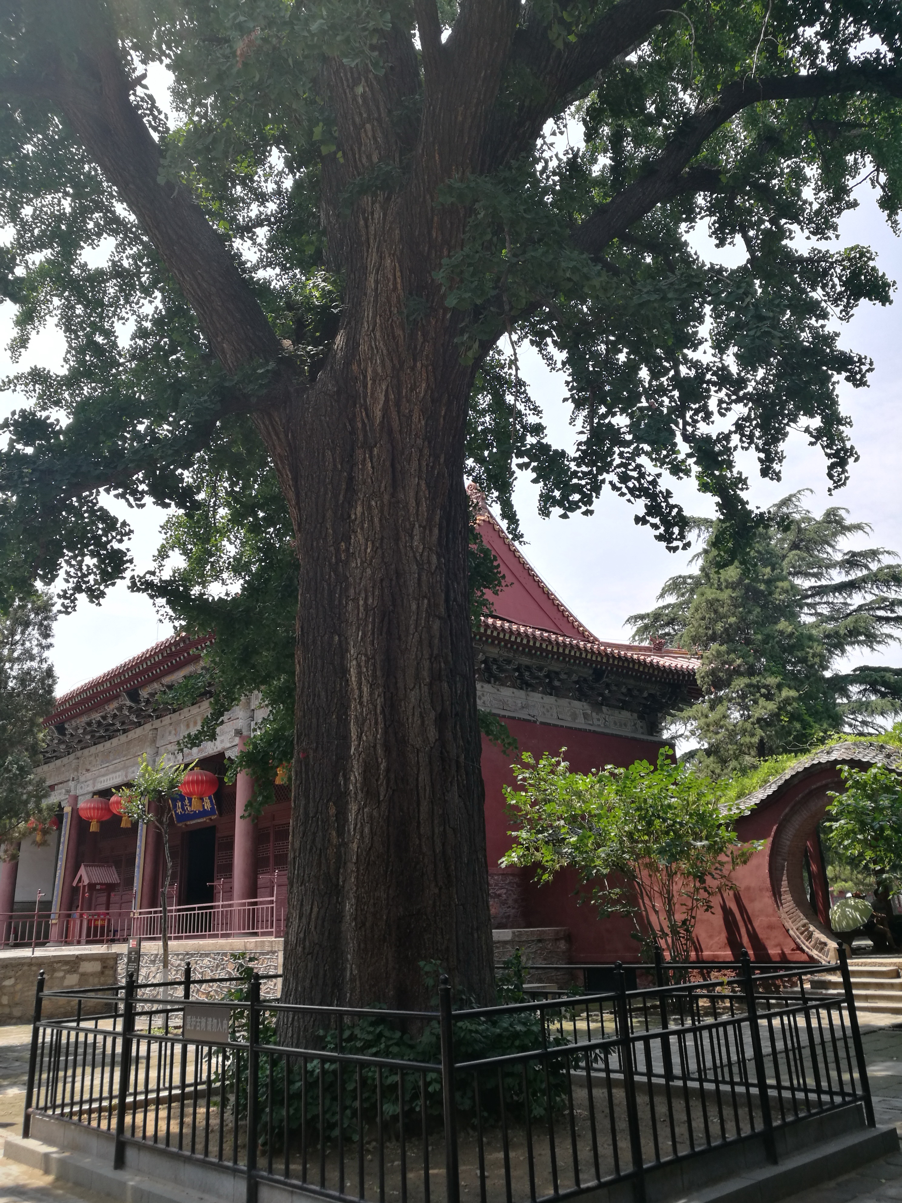 泰山世界文化和自然遗产碑刻,世界自然文化遗产名胜