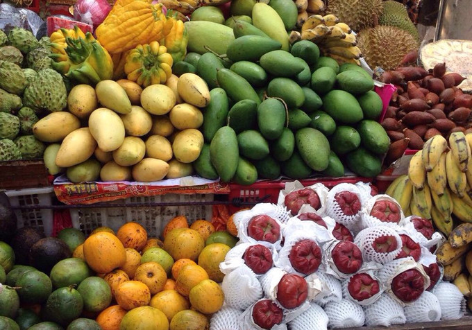 初到西双版纳,西双版纳吃住行玩攻略