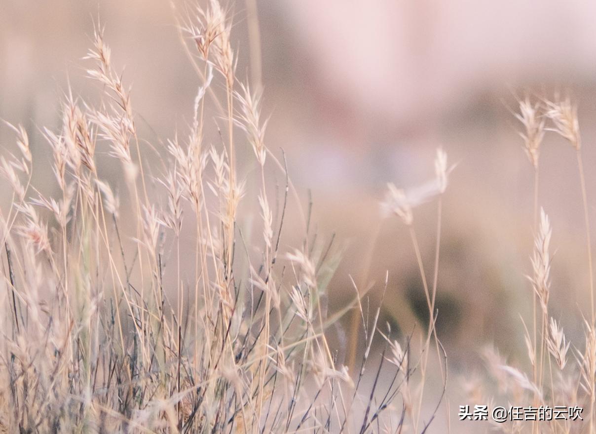 用富士镜头的手机,用富士相机拍视频