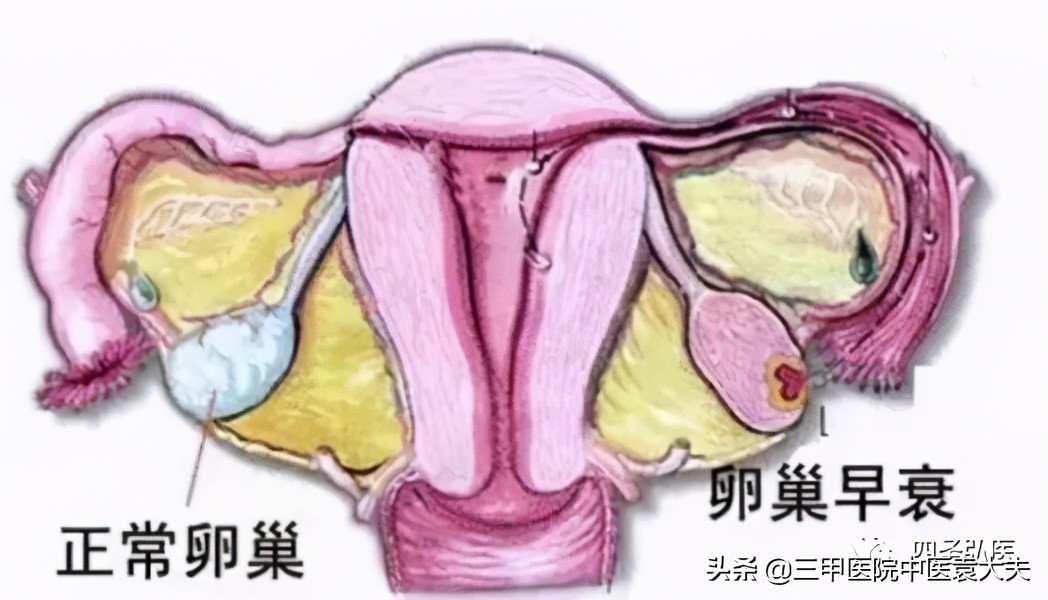 望闻问切讲解视频动画,望闻问切全集