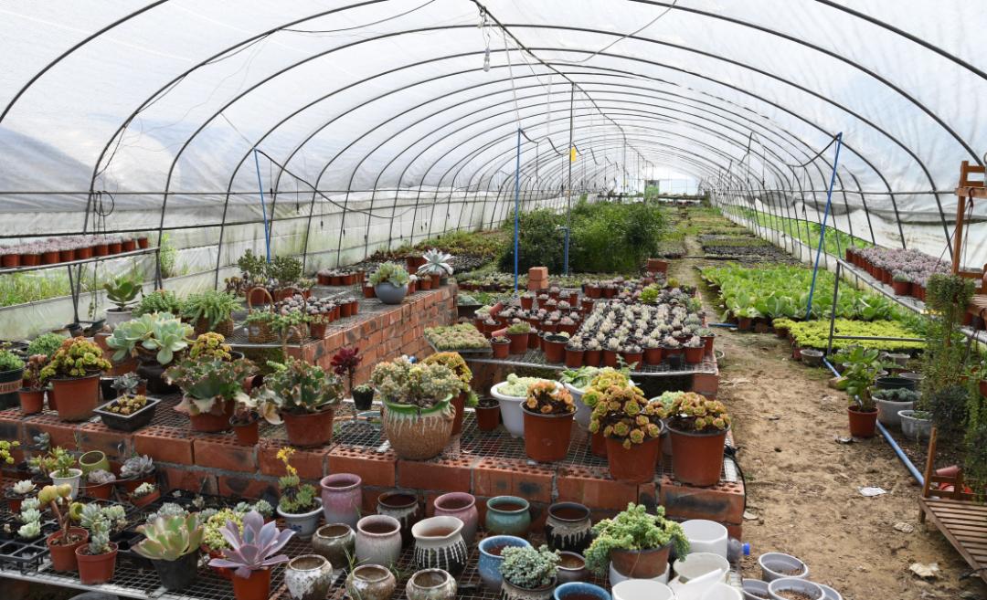 成都新都区军屯镇郭家村,成都新都军屯郭家村