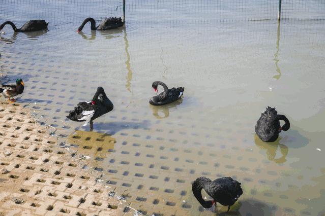 郑州亲子游户外公园十大排行榜,郑州免费适合遛娃玩的公园