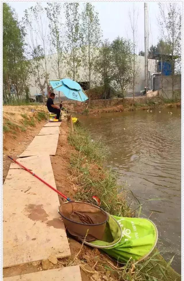 2019年野钓笔记,2020年的钓鱼总结