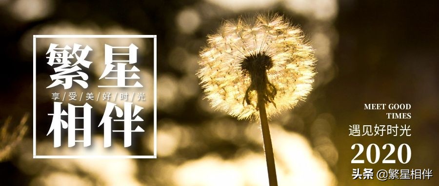 涓嶈琚竴鏃剁殑娴极鍐叉槒澶磋剳,涓嶈琚氮婕墍璇