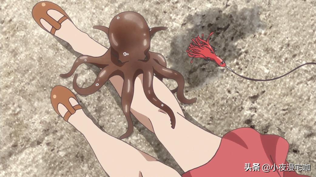 女主钓上个绅士八爪鱼，它被做成生鱼片不冤！《放学后海堤日记》