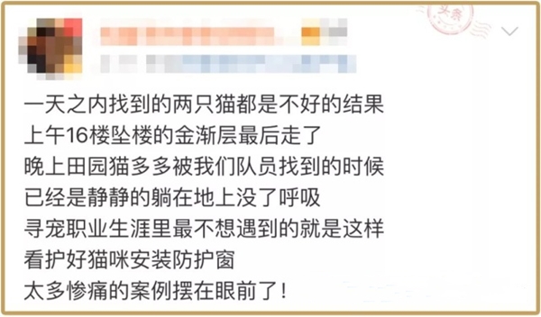 猫咪从多高距离摔下来会骨折,猫咪高处摔下后受内伤有什么表现