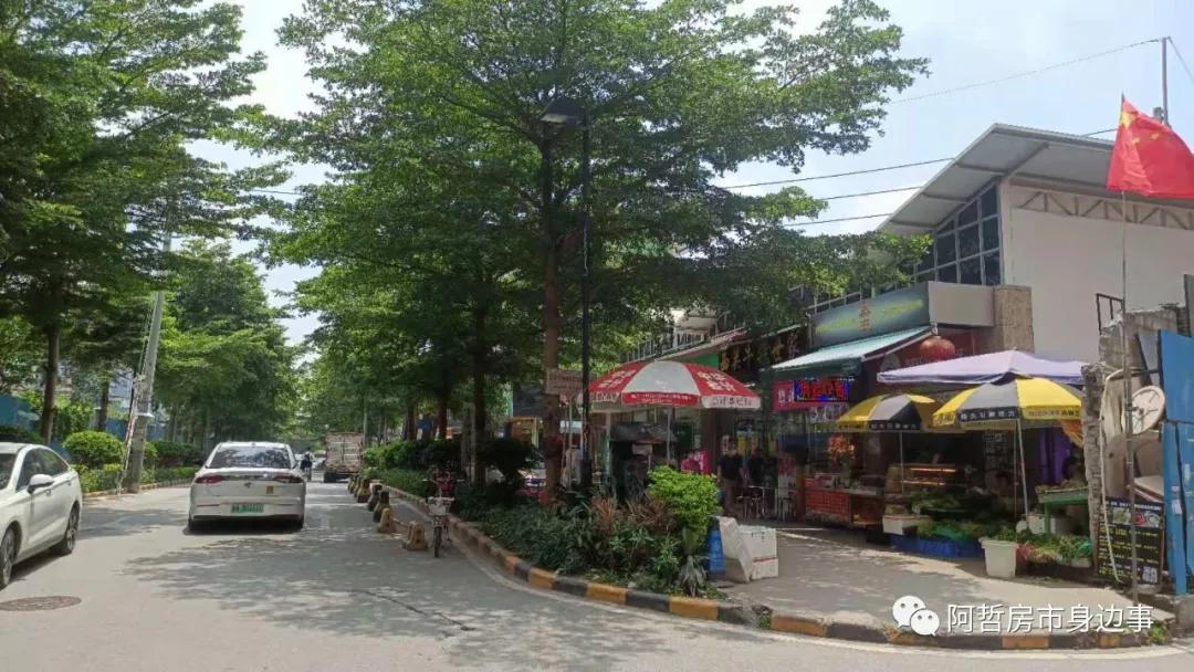 坦尾花语水岸,坦尾地铁站附近的楼盘