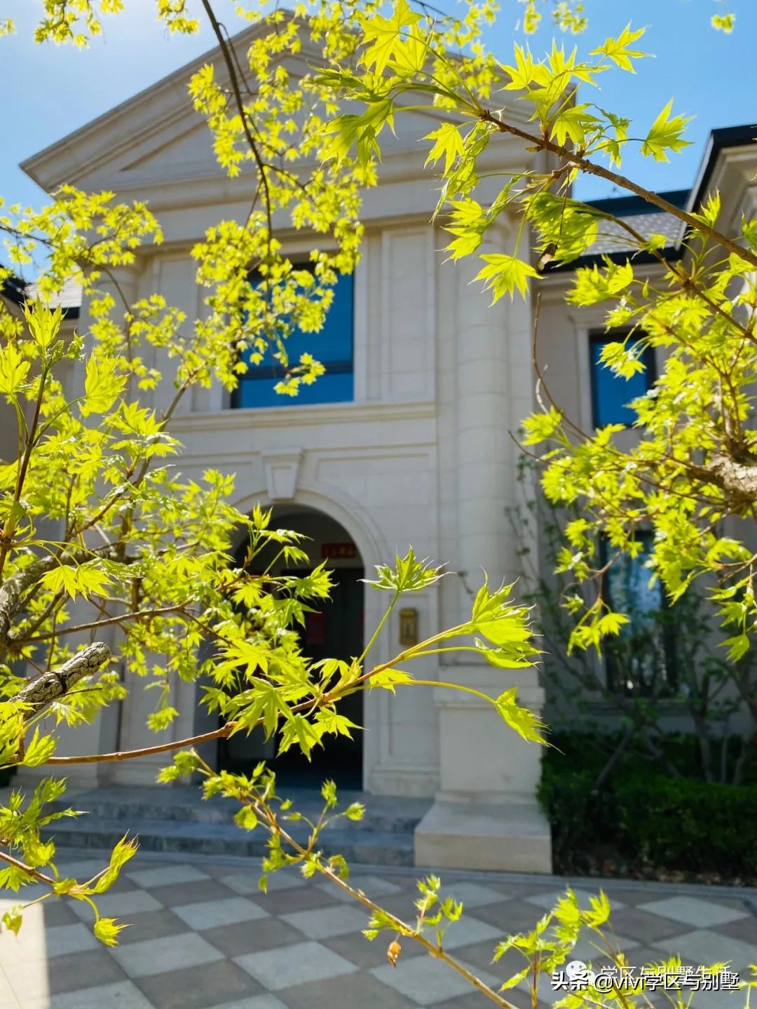 格拉斯小镇别墅外观图,格拉斯小镇2000平别墅