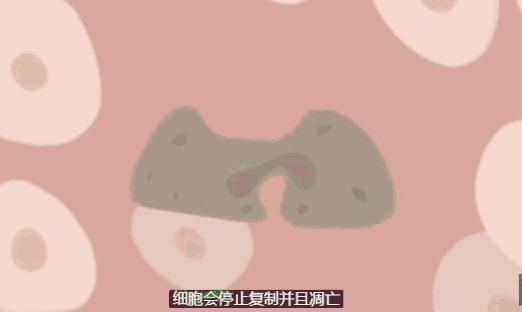 真正的冻龄女神图片,冻龄女神生图