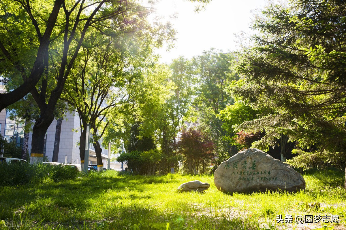 为了985放弃211值得吗,为了专业放弃211选择普通一本