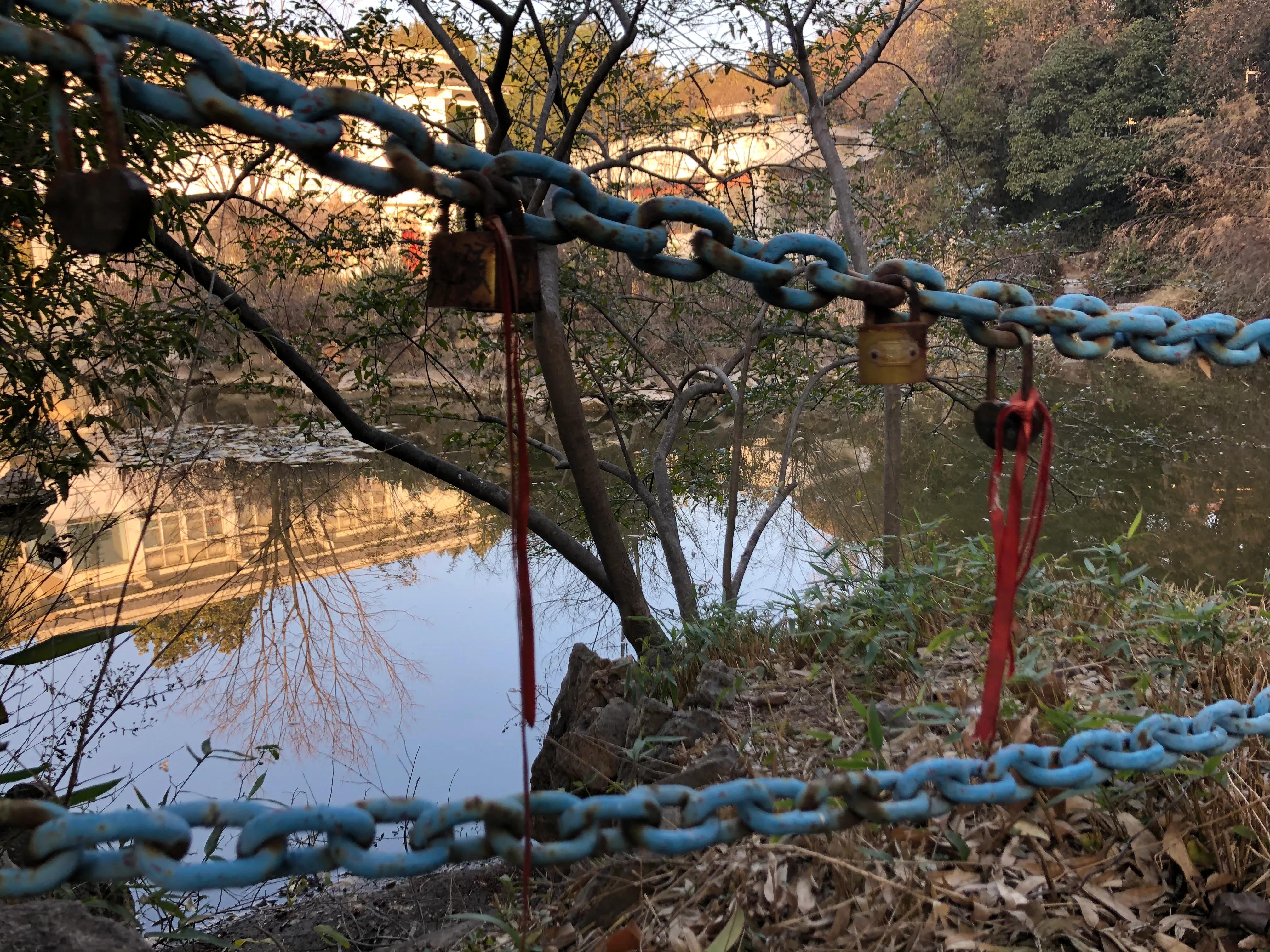 平顶山河滨公园旅游攻略,平顶山森林公园游记