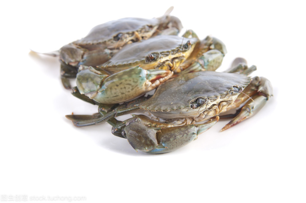 螃蟹注水如何处理,螃蟹注水是真的吗