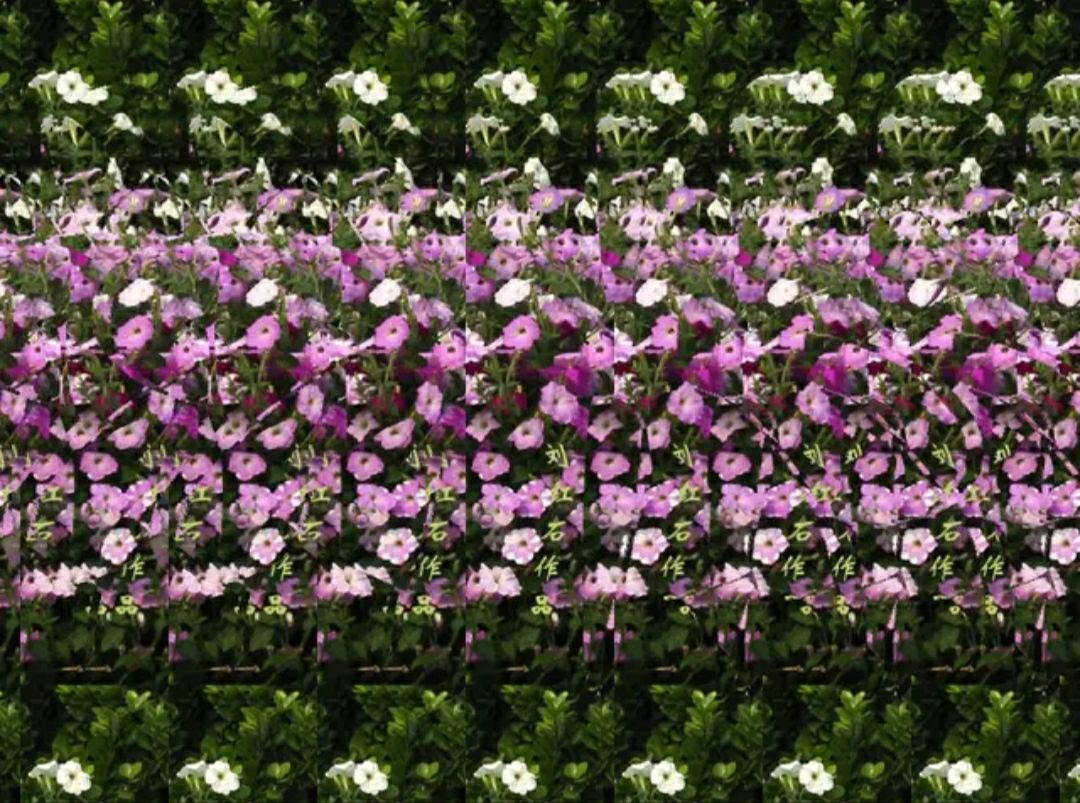 新一波超强创意图片,立体图高清图片大全