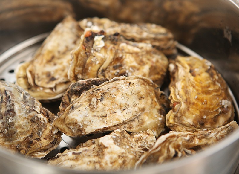 海鸡蛋的营养价值及功效,蓝皮鸡蛋的营养价值