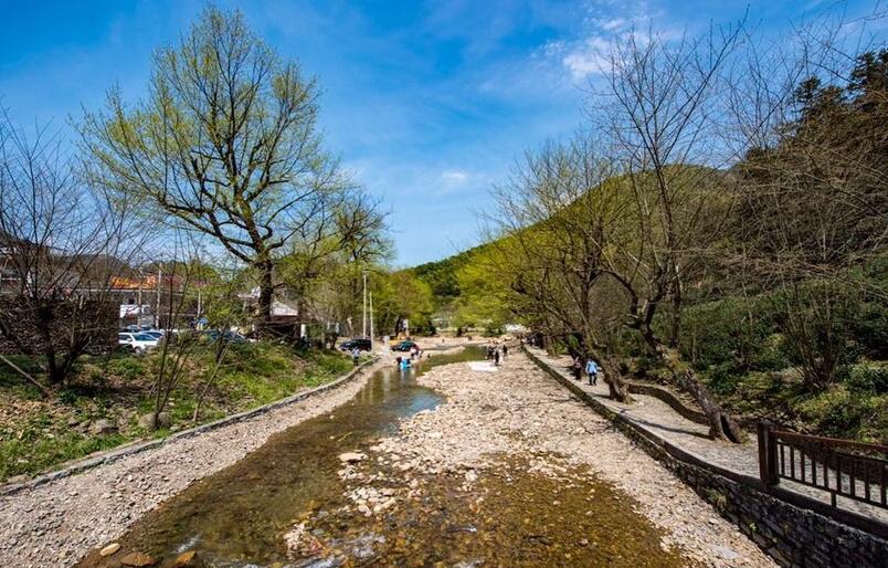 香车美女喜提爱车,香车美女提车